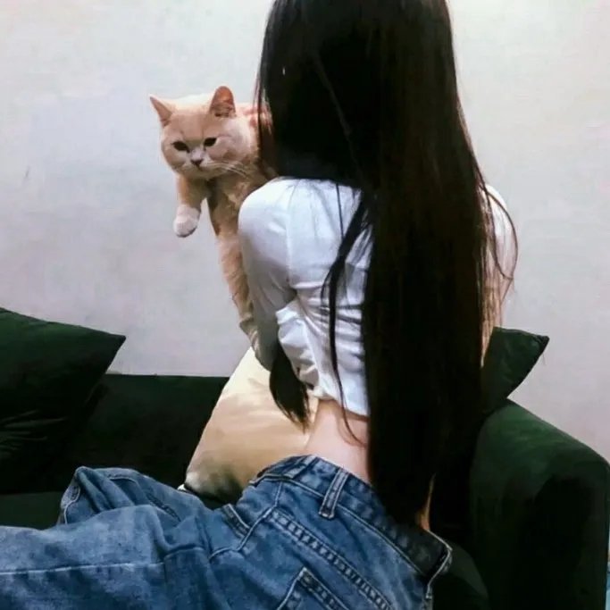 爱猫人